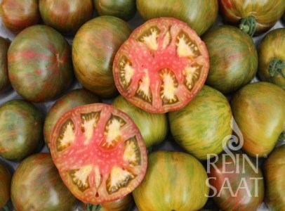 to049_rs-to-11.15_cassio rajciny